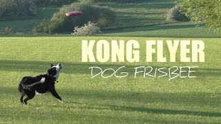 Kong Flyer  The Ultimate Dog Frisbee [upl. by Arrej]