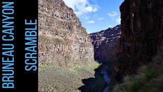 Bruneau Canyon Overlook Scramble [upl. by Adaiha]