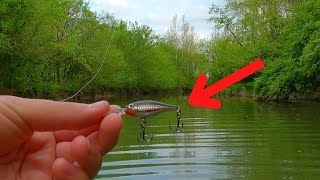 Creek Fish LOVE TINY CRANKBAITS  Ohio Suburban Creek Fishing [upl. by Eskill]