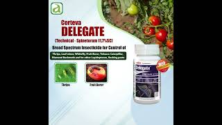 Top Insecticide for Controlling Pests ThripsLeafMinerwhitefly [upl. by Gerfen]