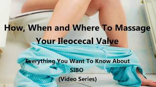 How When and Where To Massage Your Ileocecal Valve [upl. by Klug]