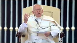 Ludienza di Papa Francesco  14 maggio 2014 [upl. by Lesly431]