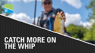 HOW TO CATCH MORE ON THE WHIP  WHIP FISHING TACTICS [upl. by Reidar736]