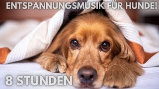 14🐶8 Stunden tiefe Entspannungsmusik für Hunde [upl. by Hulburt480]