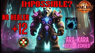 IMPOSSIBLE THEY SAID 12 NO HEALER AraKara Guardian Druid POV [upl. by Zaccaria674]