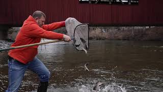 Trout stocking Pennsylvania trout fishing season 2019 [upl. by Enogitna333]