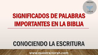 SIGNIFICADOS DE PALABRAS IMPORTANTES EN LA BIBLIA con subtítulos [upl. by Enitsenrae231]