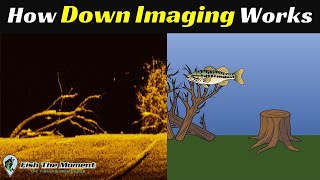 The LAST Down Imaging Explanation You Will Ever Need  Fish Finder Sonar Instruction [upl. by Hamaso]