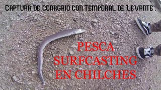 Pesca Surfcasting en Chilches  Captura de congrio con Temporal de Levante [upl. by Lefty]