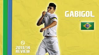 GABRIEL GABIGOL BARBOSA  Goals Skills Assists  Santos  20132014 HD [upl. by Caiaphas]