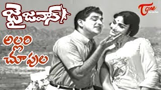 ANR Old Songs  Jai Jawan Movie  Allari Choopula Song  ANR  Bharathi  Old Telugu Songs [upl. by Goeselt113]