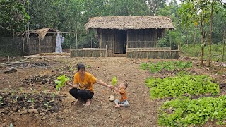 Gardening and growing vegetables improve the life of single mother Ly Phuc Loc [upl. by Beebe]