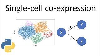 Singlecell gene coexpression  singlecell RNAseq methods [upl. by Janelle801]