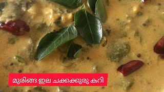 മുരിങ്ങ ഇല ചക്കക്കുരു കറി  chakkakuru curry [upl. by Magavern]