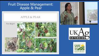 Fruit Disease Management Part 1 Apple amp Pear [upl. by Nicolina]