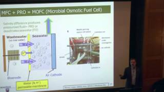 Bruce Logan Microbial Fuel Cell and Reverse Electrodialysis Technologies [upl. by Safier]