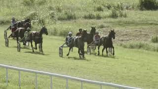 Course 7 PRIX DE SISSI ZEB 280724 [upl. by Neesay]