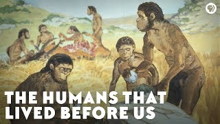 The Humans That Lived Before Us [upl. by Waechter]