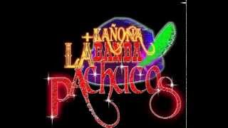 Banda PachucosLa Planta Dj Notorio [upl. by Atinaujnas]