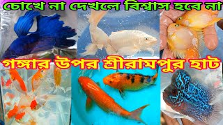 ছোটো বড়ো রঙিন মাছ শ্রীরামপুরের হাটে 🐟  Recent Week All Aquarium Fish Price  Serampore Pet Market [upl. by Rufina]