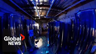 Inside a cryonics facility preserving terminallyill people and pets to wake up in the future [upl. by Lucie]