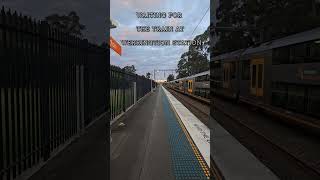 Werrington station NSW 🇦🇺 [upl. by Dorothee]