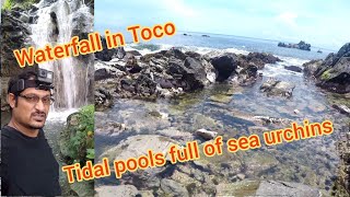 Roadtrip to Matelot waterfall tidal poolsepic shores pt1 [upl. by Arlyn378]