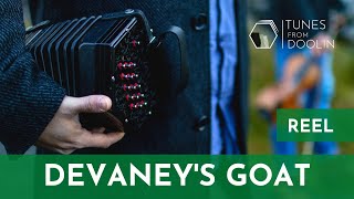 DEVANEYS GOAT Reel  Irish Concertina Tunes 🎵☘️ [upl. by Dodie761]