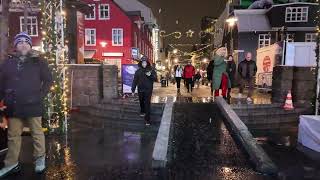 Reykjavik Winter Walking Tour Journey Through Icelands Capital [upl. by Diba]