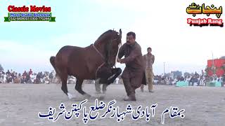 Horse Dance Jashne Bodla Bahar Day 2nd 2017 Abadi Shahbaz Nagar Pakpattan 26 [upl. by Barcroft]