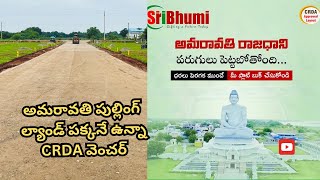 Plots for sale in Amaravathi  Mangalagiri  8143452143  Amaravathi  35000sqyard [upl. by Fox]