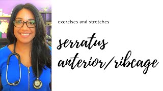 Serratus Anterior Strengthening for Upper Back Pain [upl. by Ettevy]