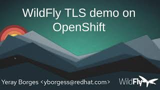 WildFly TLS demo [upl. by Jochebed93]