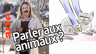 Peuton parler avec les animaux   Sarah Jeannin  Tu mourras moins bête  ARTE [upl. by Acima]