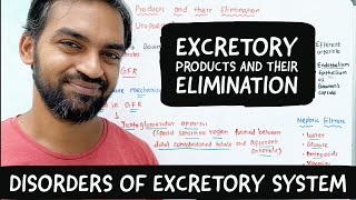 Disorders of Excretory system  Excretory products and their elimination [upl. by Chrystal]