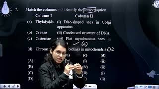 Match the columns and identify the correct option Column I ColumnII a Thylakoids [upl. by Casia282]