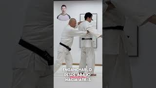 Aikido Techniques Aikido AikidoRoutine selfdefense [upl. by Ettevahs]