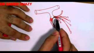 internal iliac artery dr sameh ghazy [upl. by Yelnek]