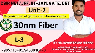 Heterochromatin Euchromatin  Chromosome  L4 Unit2 𝐆𝐞𝐧𝐞𝐬𝐢𝐬 𝐈𝐧𝐬𝐭𝐢𝐭𝐮𝐭𝐞 𝐨𝐟 𝐋𝐢𝐟𝐞 𝐒𝐜𝐢𝐞𝐧𝐜𝐞𝐬 [upl. by Alletsyrc]