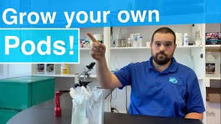 Grow Copepods the easy way  how and why to culture copepods [upl. by Edee863]