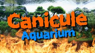 Comment REFROIDIR son AQUARIUM en été [upl. by Nabila]