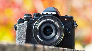 Best Olympus Cameras 2024 Dont Buy Until You WATCH This [upl. by Vassell774]