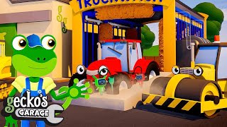 The Big Truck Job Swap  Gecko 2D  Learning Videos for Kids [upl. by Eirol]