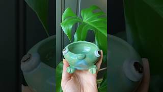 Ribbit🐸 This one is sold pottery frog frogart handmade ceramic artist smallartist [upl. by Jarib]