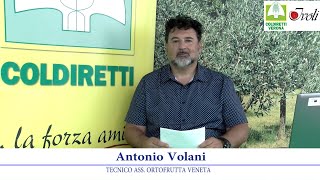 Notiziario frutticolo 5 luglio 2024 [upl. by Fanchan]