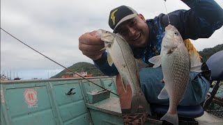 Esse canal de bertioga sempre surpreende nas pescarias [upl. by Nnaeirb]