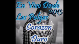 Corazon Duro  Arley Perez En Vivo Desde Las Pulgas 2013 [upl. by Rayshell]