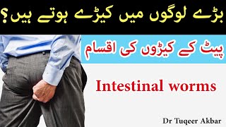 Intestinal Worms  Intestinal Worms types  Urdu amp Hindi  CHAMONY  ANAL ITCHING BY DR TUQEER AKBAR [upl. by Edasalof619]