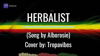 Herbalist Lyrics Alborosie Cover by Tropavibes Band [upl. by Kimbell]