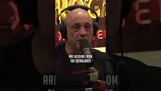 Nile Crocodiles in Florida  Joe Rogan [upl. by Malilliw]